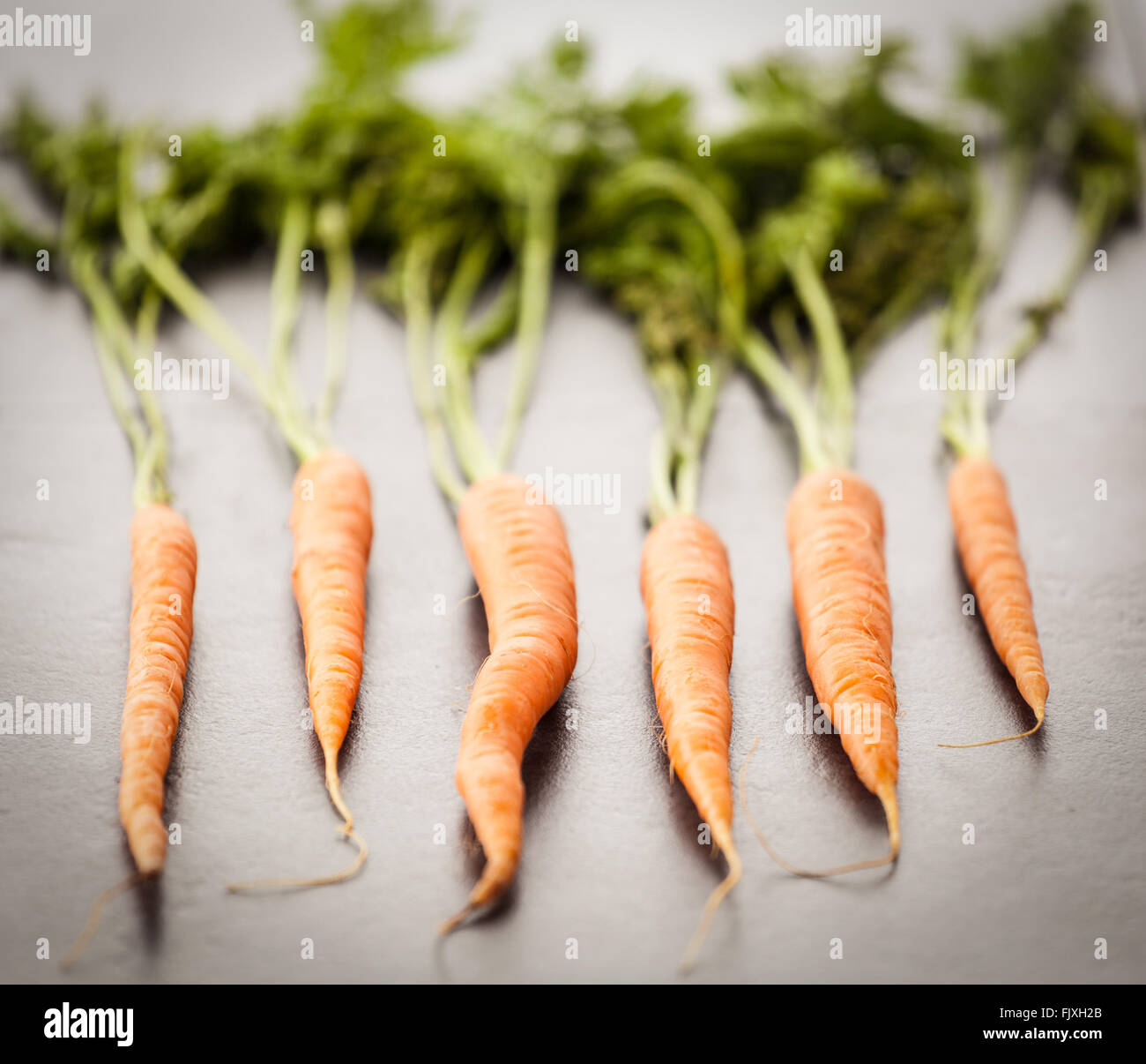 Six Dutch sweet carrots on bright textured stone background. Shallow depth of field. Stock Photo