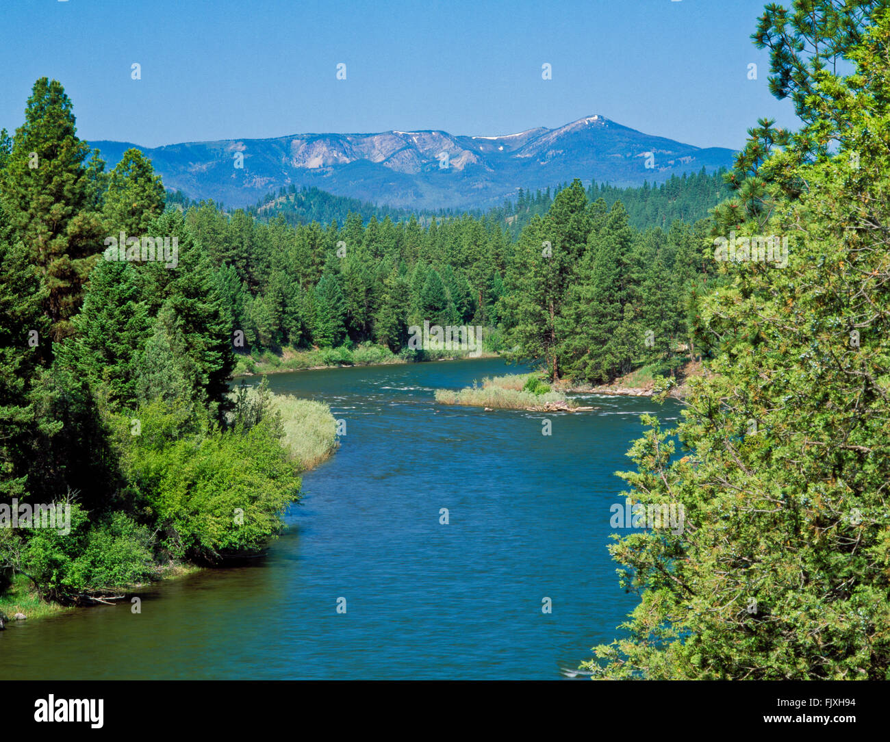 blackfoot river in the ninemile prairie area and sheep mountain in the