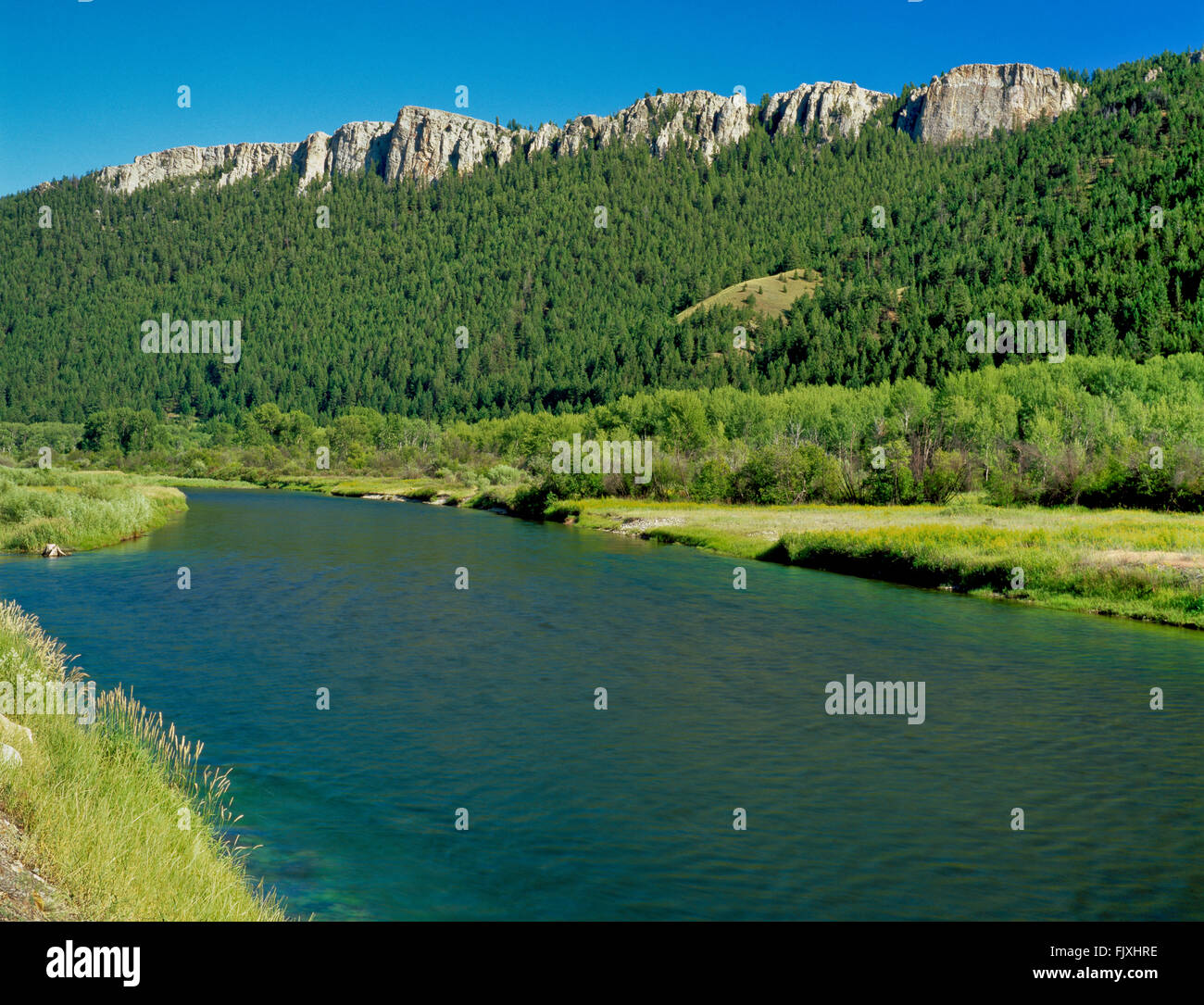 clark fork river below cliffs near drummond, montana Stock Photo Alamy