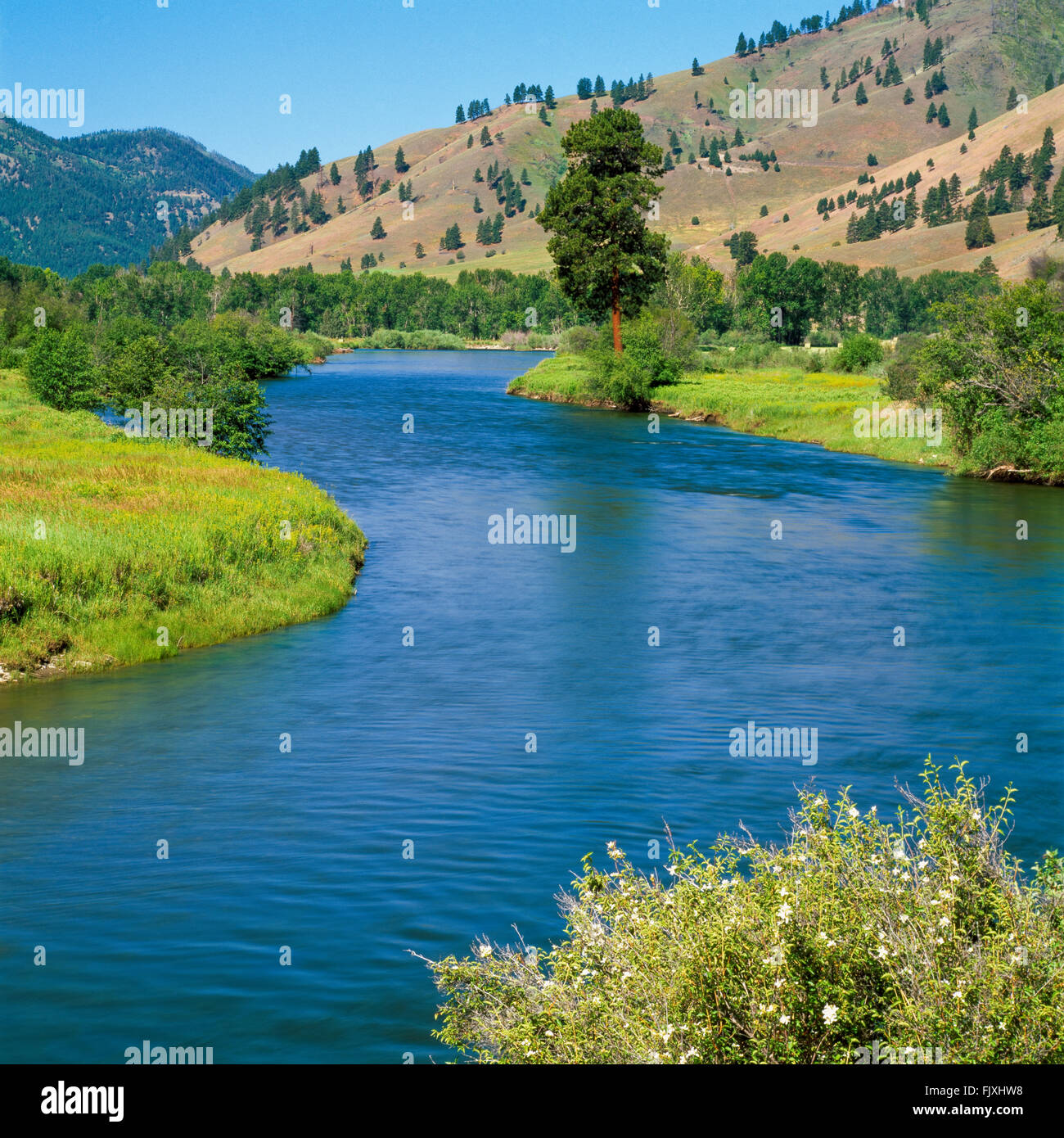 clark fork river meandering through a valley near bearmouth, montana