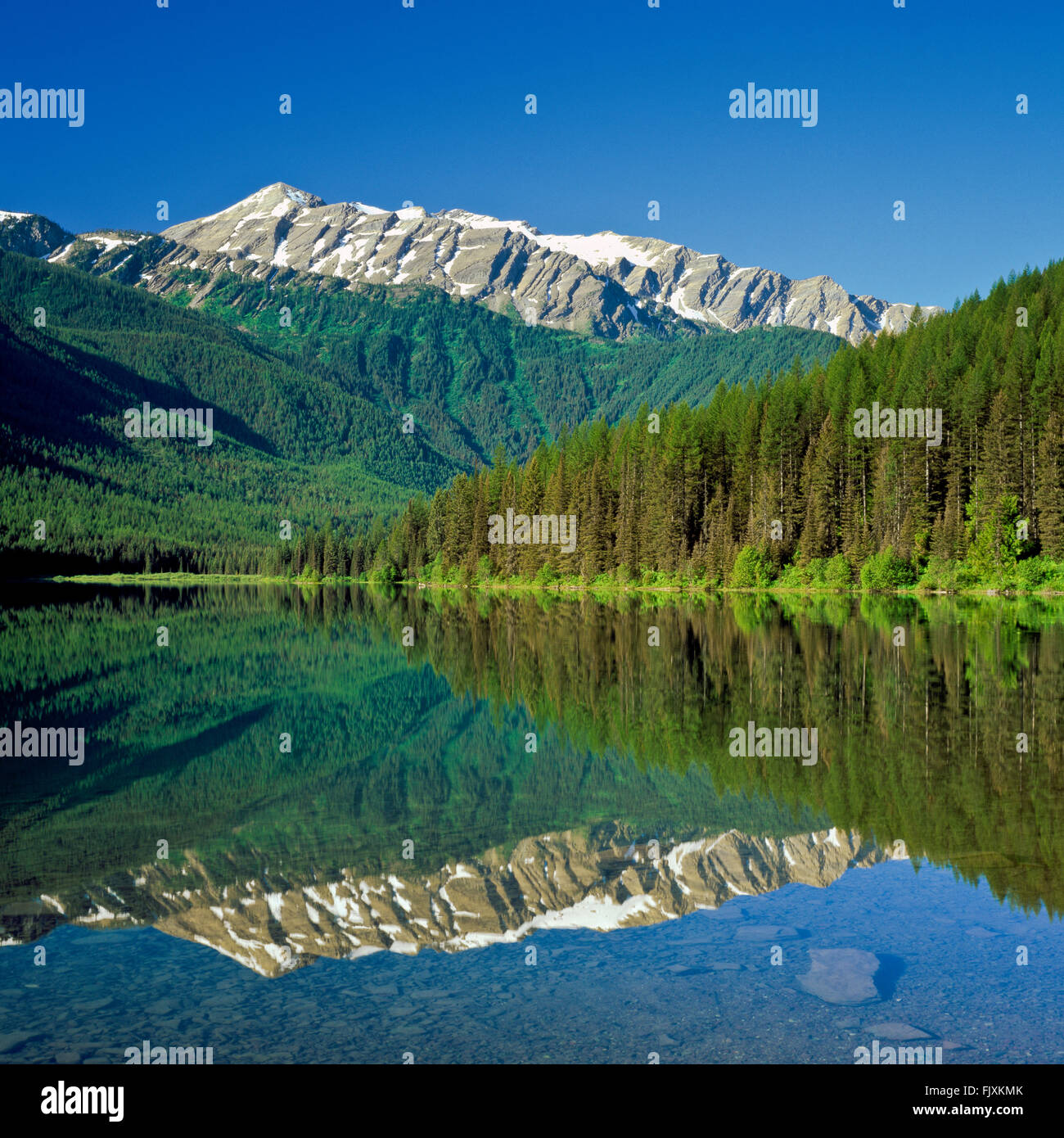 great northern mountain reflected in stanton lake in the great bear wilderness near essex, montana Stock Photo