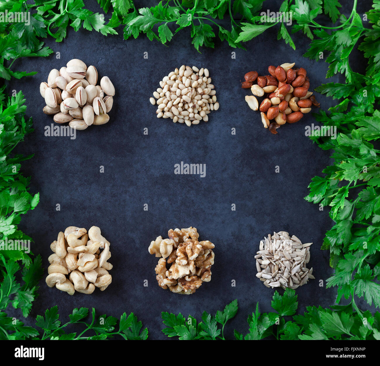 can dogs have pine nuts