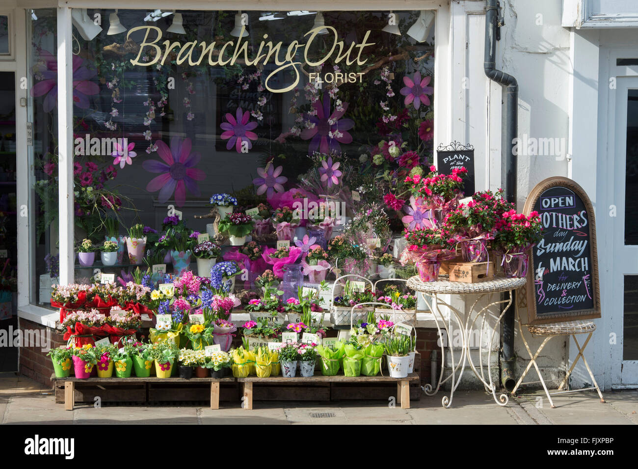 Florist Shop display, Wallingford, Oxfordshire, England Stock Photo Alamy