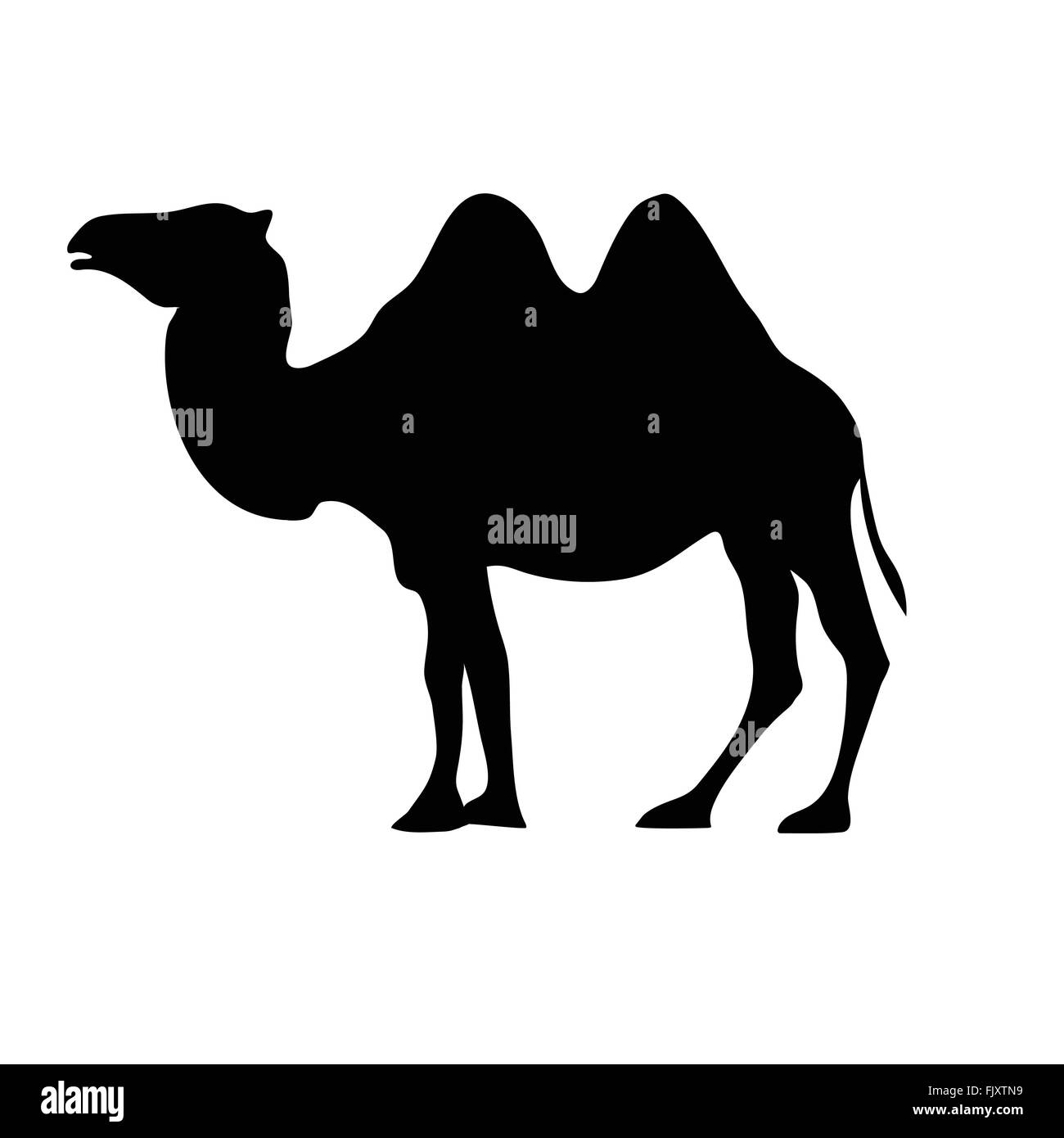 Two hump camel Stock Vector Images - Alamy
