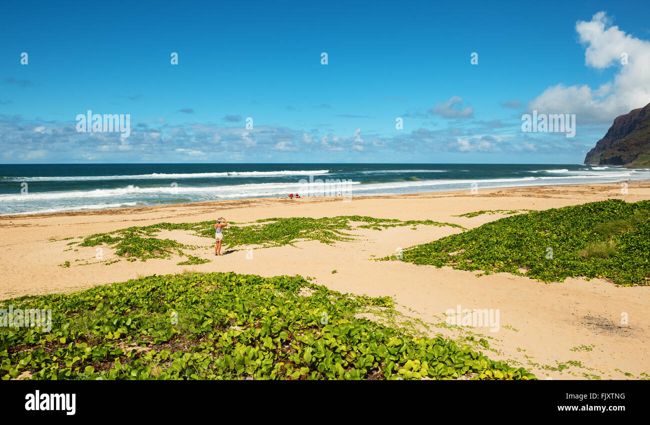 barking sands beach kauai hawaii Stock Photo - Alamy