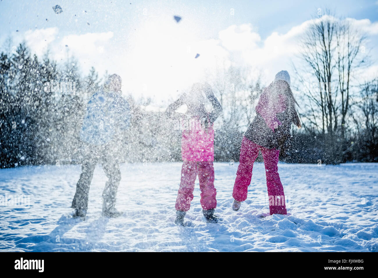 Family throwing snowballs Stock Photo Alamy