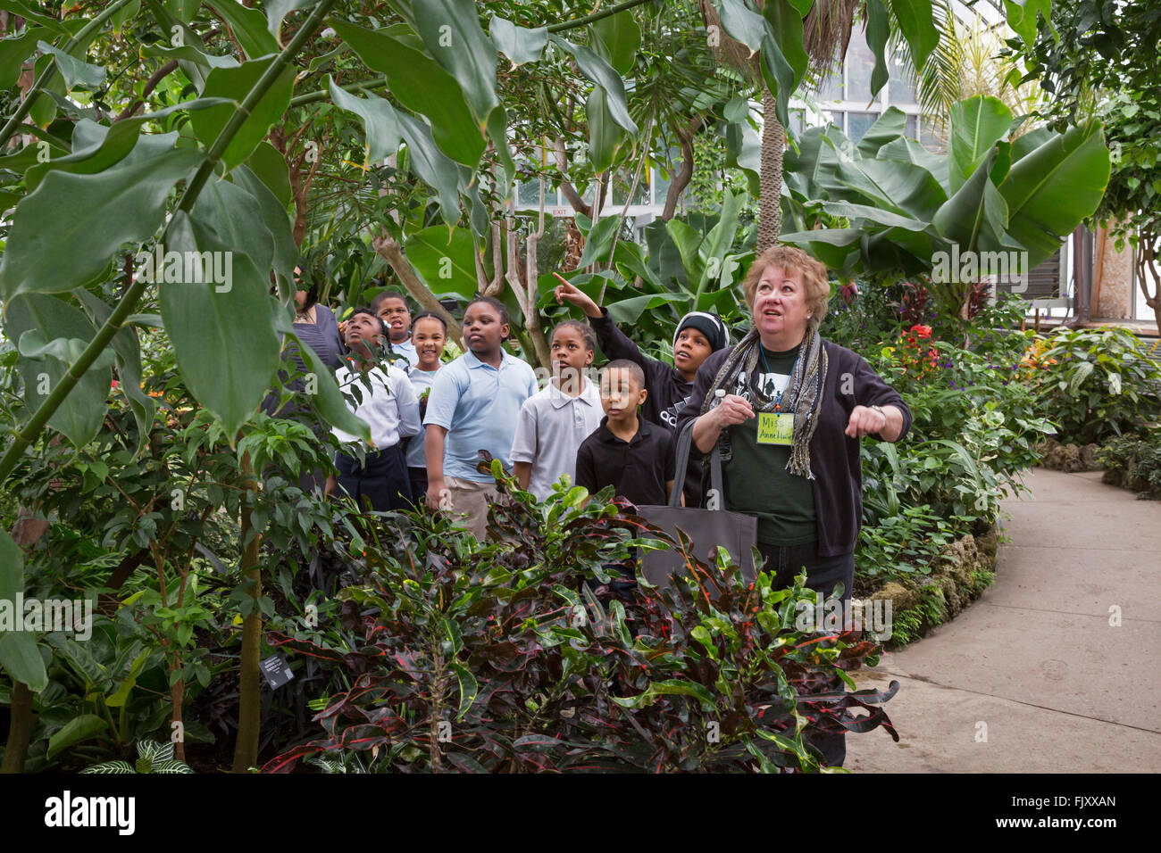 Detroit, Michigan - A volunteer leads school children through the Anna Scripps Whitcomb Conservatory. Stock Photo