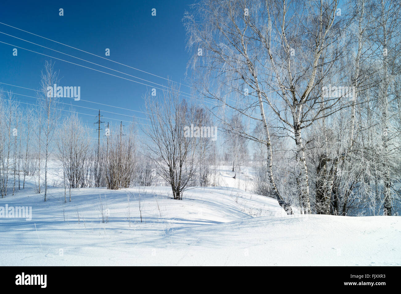Winter landscape with white birch on background blue sky Stock Photo ...