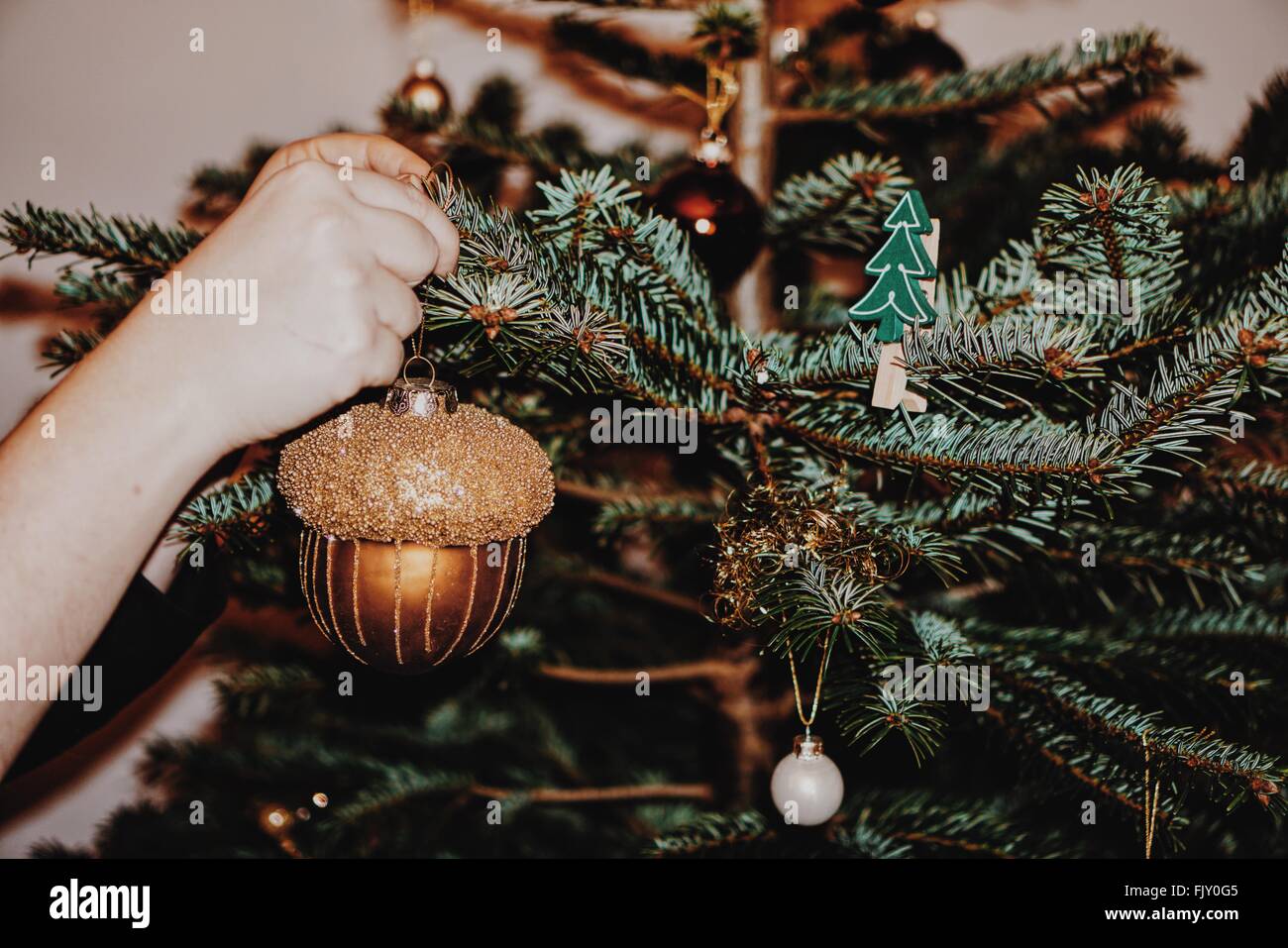 Cropped Hand Holding Artificial Acorn Hanging From Christmas Tree Stock Photo