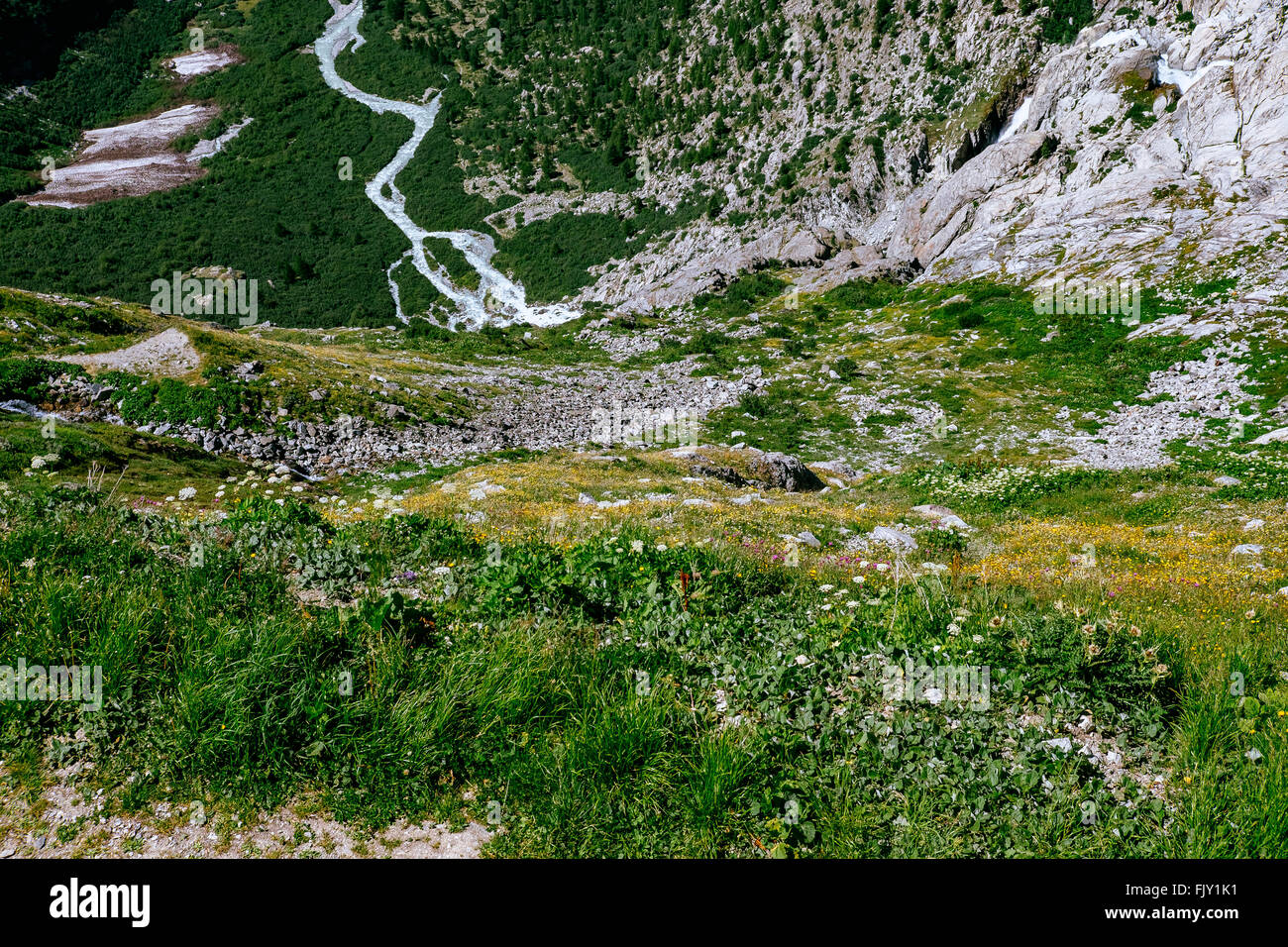 Grassy landscape swiss alps day hi-res stock photography and images - Alamy