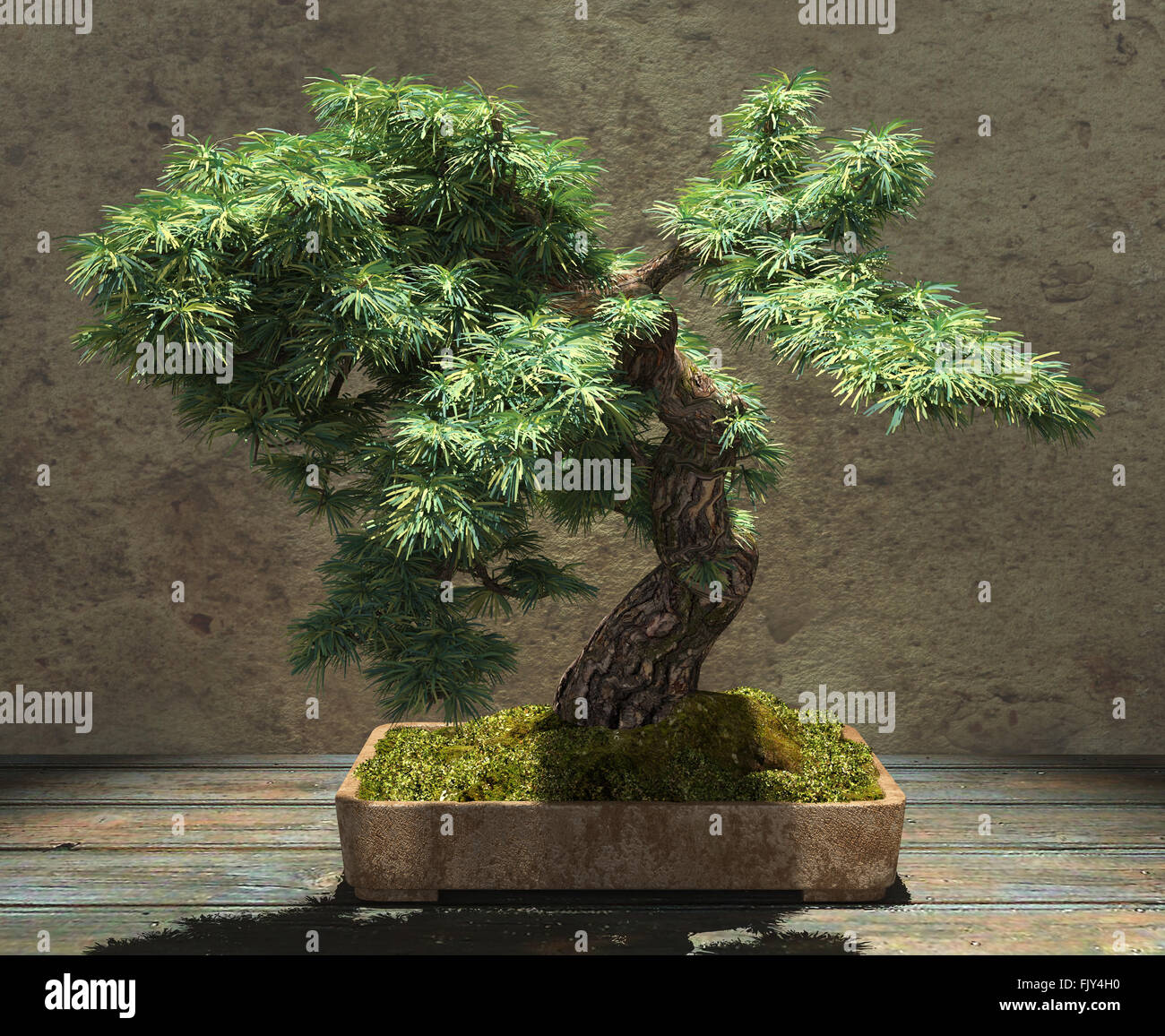 Japanese tree of life hires stock photography and images Alamy