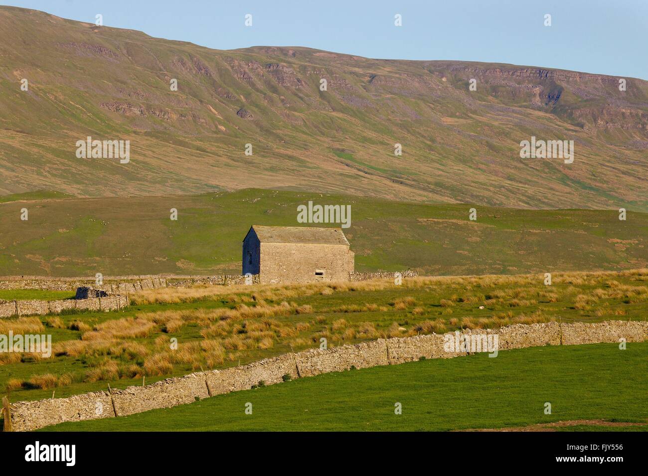 Hallerstang Edge. Barn and drystone walls. View from Wharton Fell, Kirkby Stephen, Eden District,  Eden Valley, Cumbria, Yorkshi Stock Photo