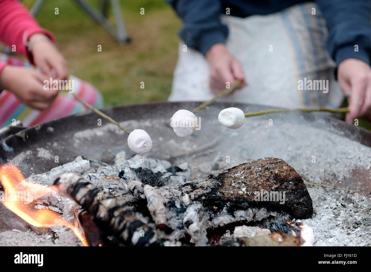 Roasting marshmallows on an open fire, uk campng Stock Photo