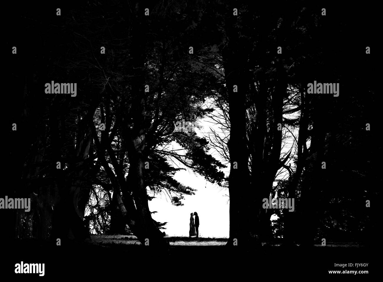 Proposal silhouette hi-res stock photography and images - Alamy
