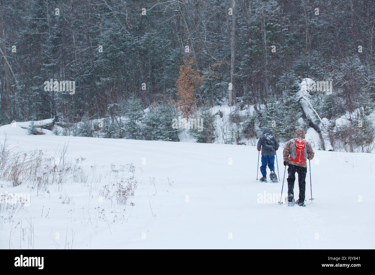 Two seniors snowshoe on a snowy day in the woods of northern Maine near