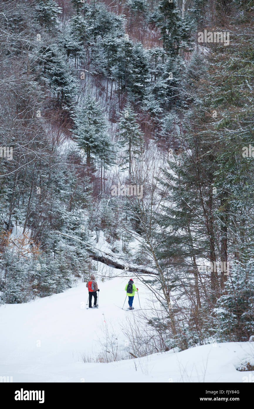 Two seniors snowshoe on a snowy day, descending a slope in the woods of