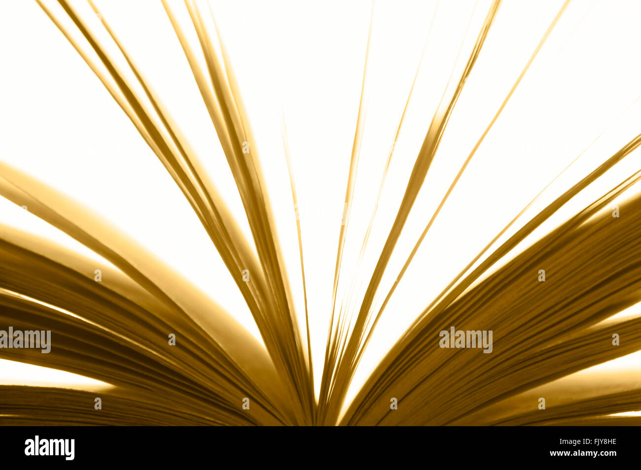 Open book detail with sheets in warm tone. Horizontal Stock Photo - Alamy