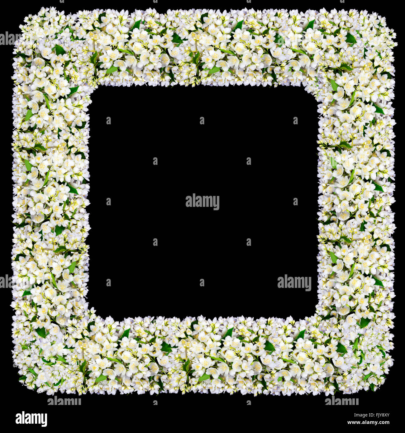 The mourning cemeterial  square frame  from white  jasmine flowers. Isolated on black abstract collage Stock Photo