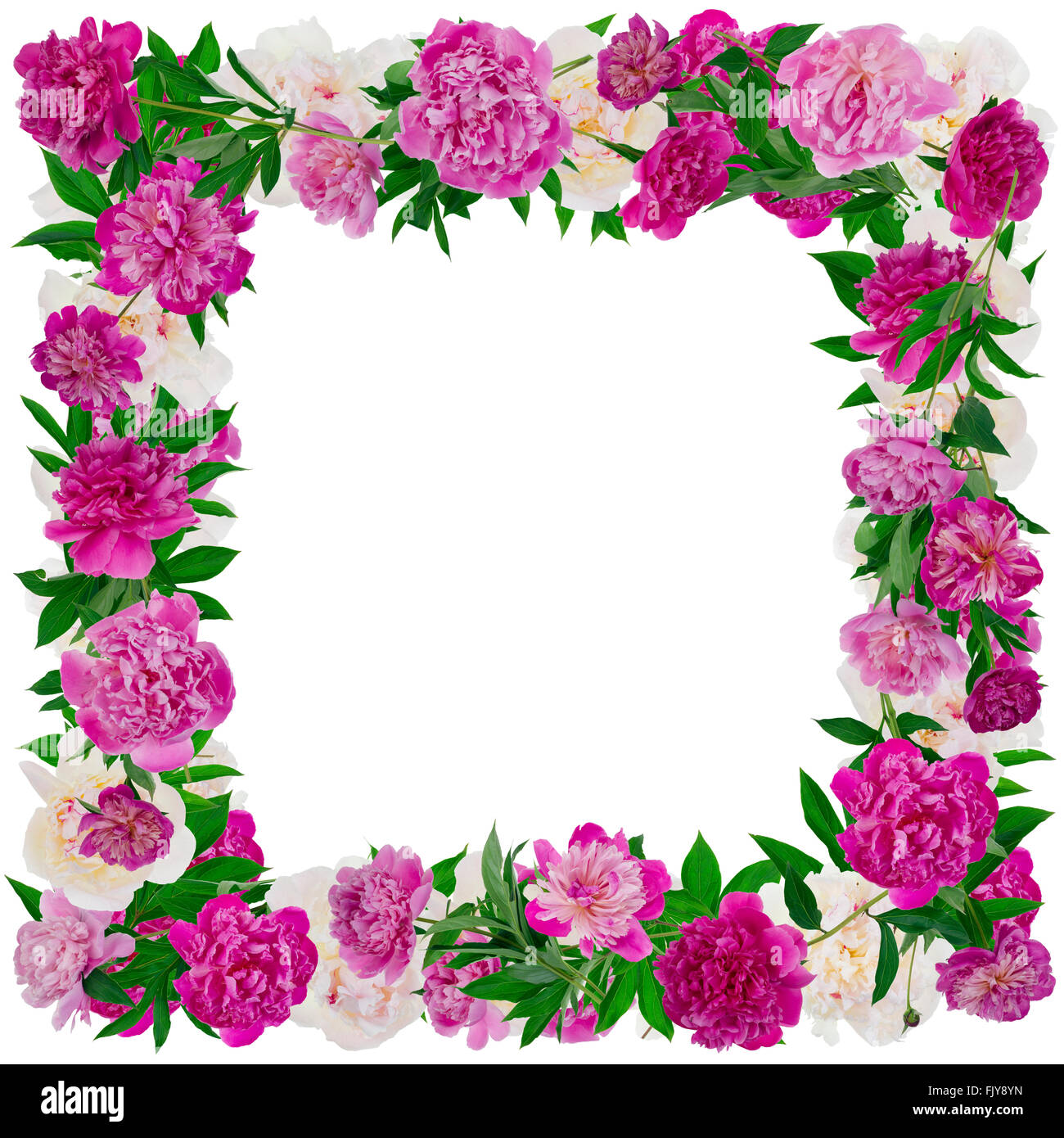 Home Decor A4 Frame Handmade Picture Real Flowers Dried Flowers