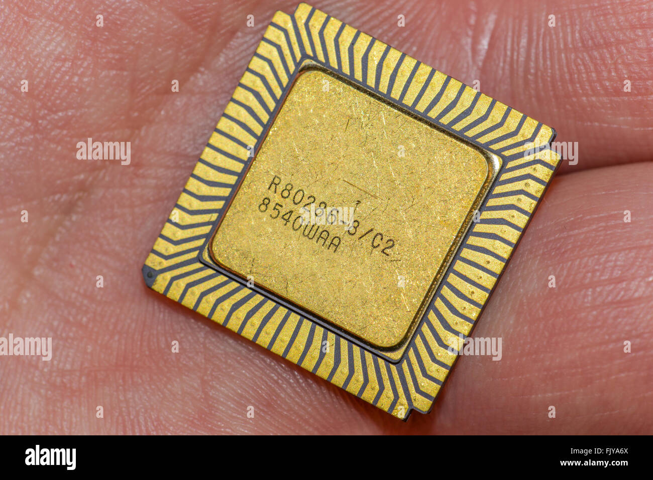 One vintage ceramic CPU in the hand Stock Photo