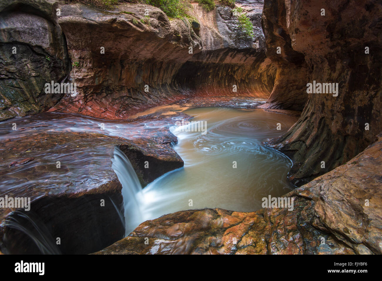 The Subway Slot Canyon In Zion National Park Stock Photo Alamy