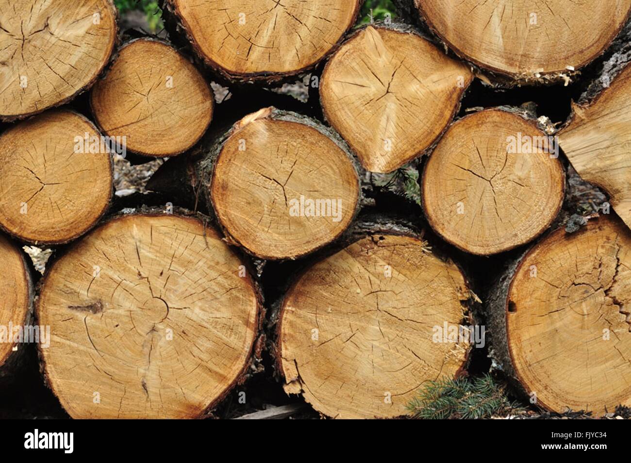 Logging, Alberta, Canada Stock Photo Alamy