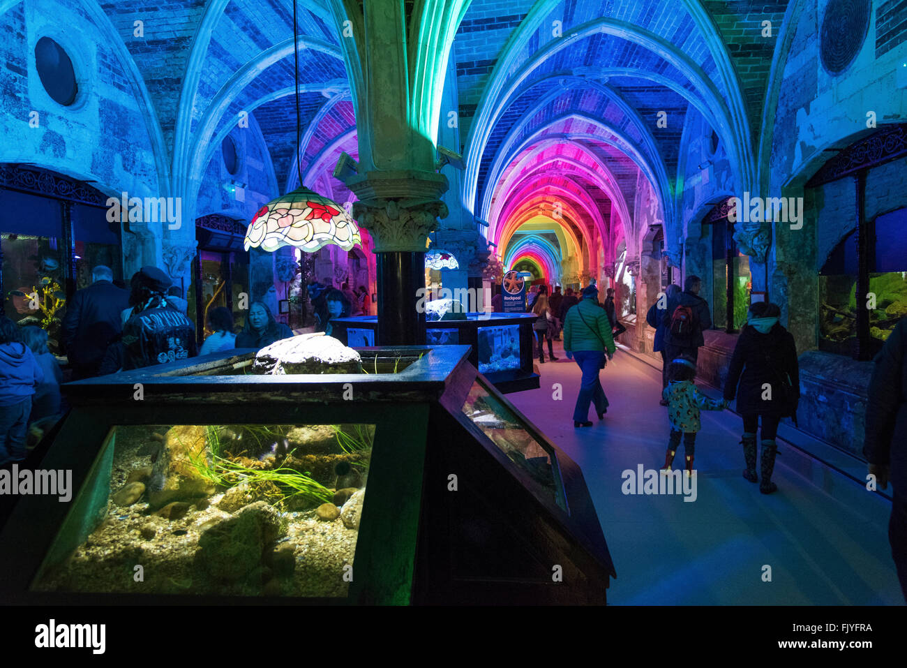 Brighton sea life center aquarium hires stock photography and images