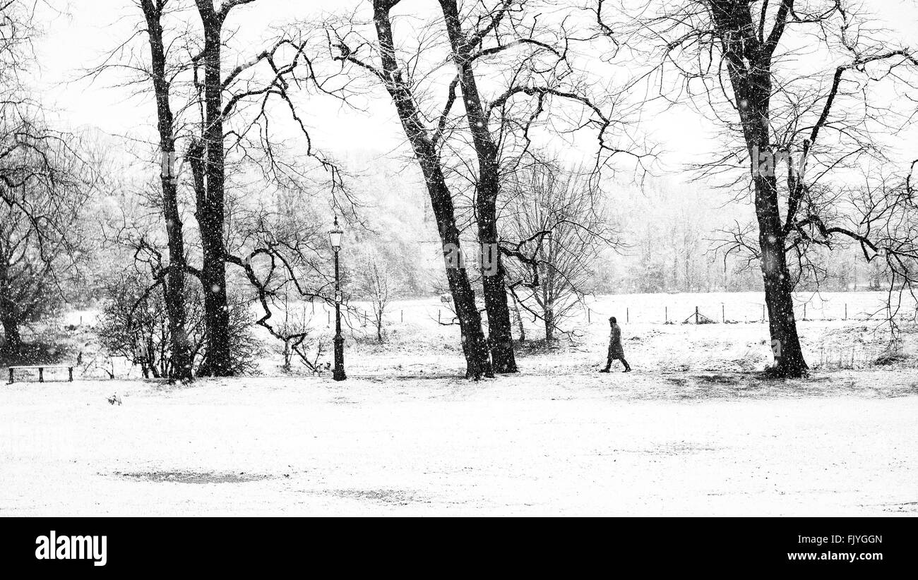 Preston, UK. 4th March 2016. UK Weather. Early morning sleet and snow didn't stop dog walkers in Preston's Avenham Park this morning. Credit:  Paul Melling/Alamy Live News Stock Photo