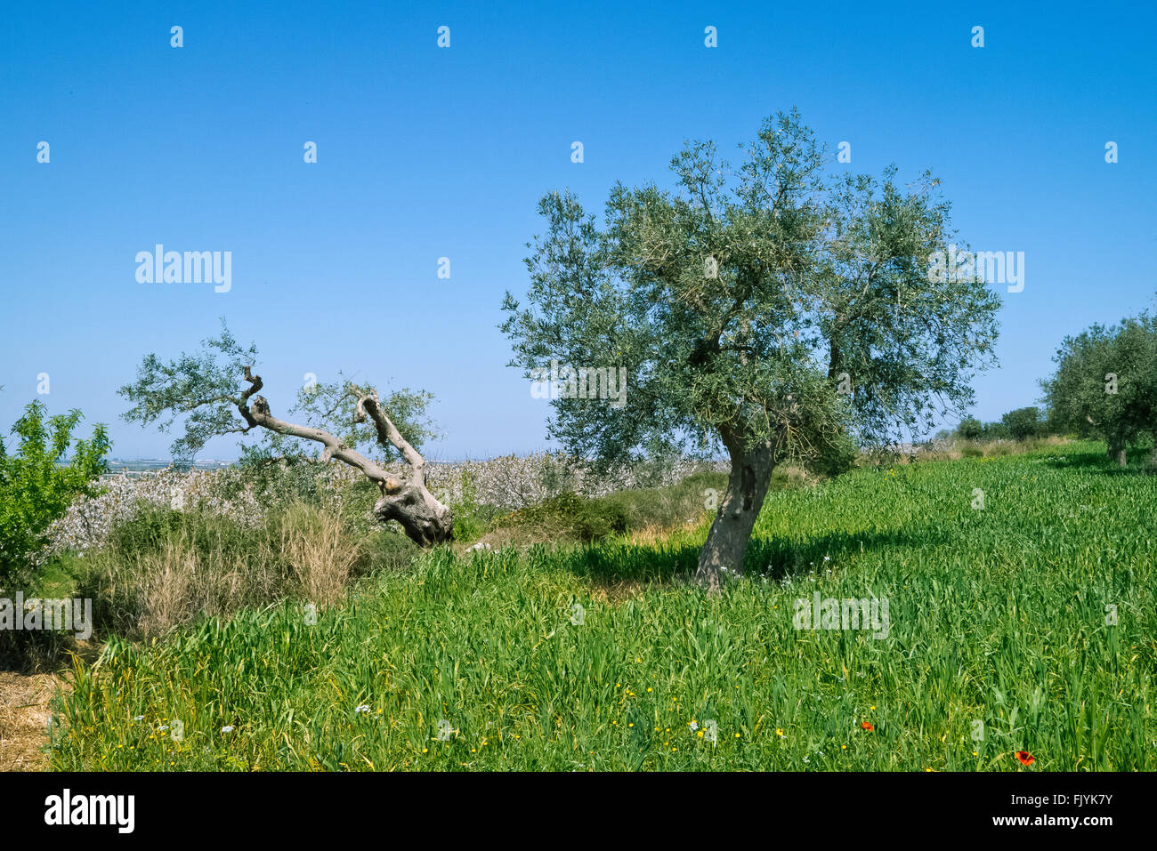 Biodiversity land use italy hires stock photography and images Alamy