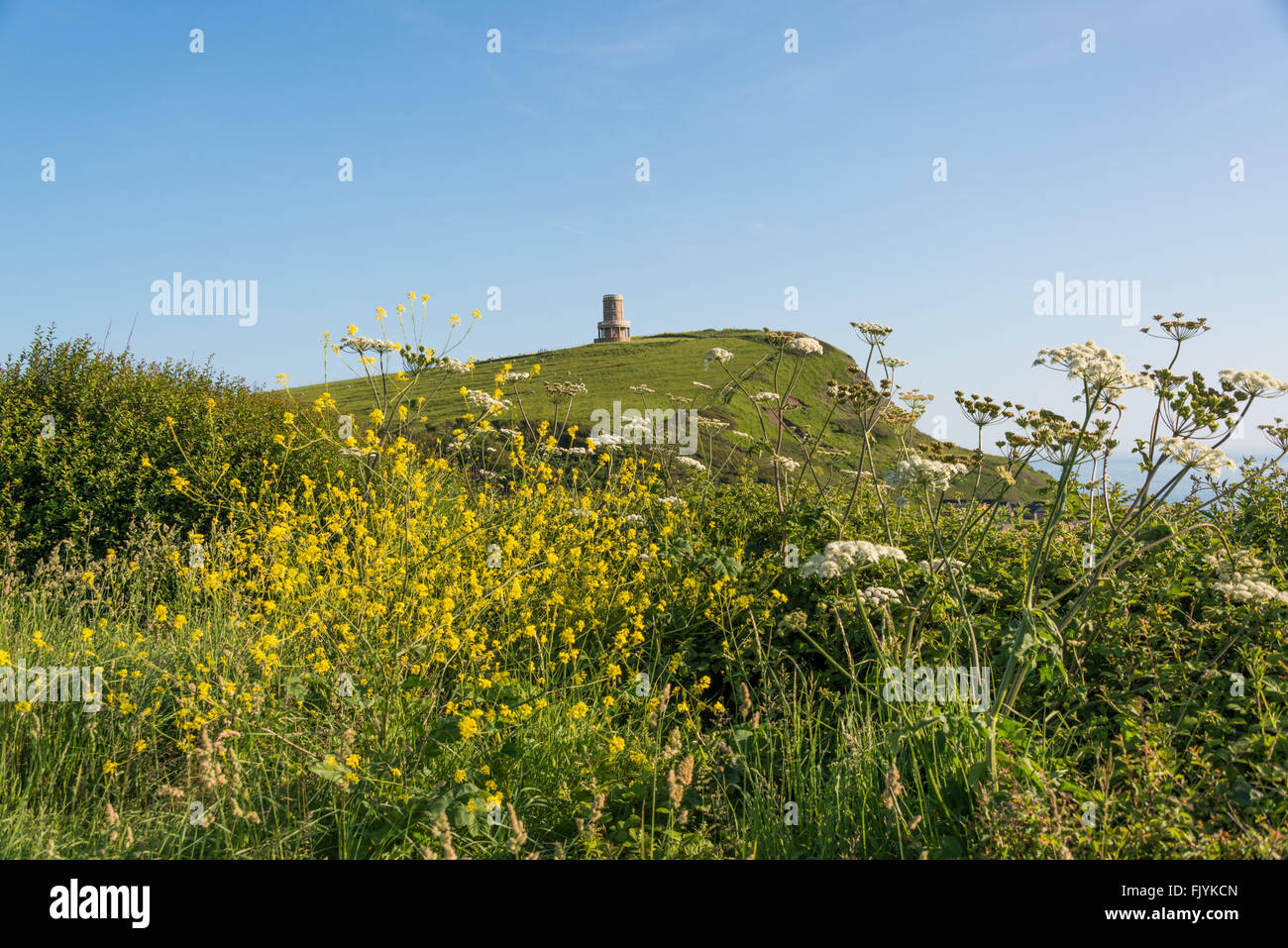 Clavell Tower, Kimmeridge, Dorset, England, UK Stock Photo Alamy