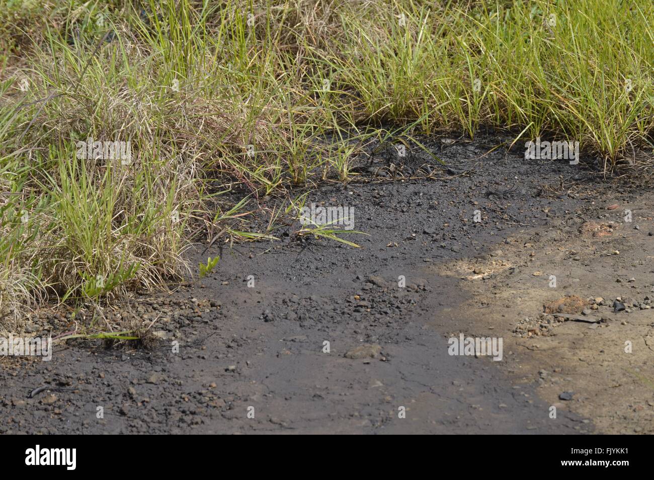 Industrial oilcontaminated soil Stock Photo Alamy