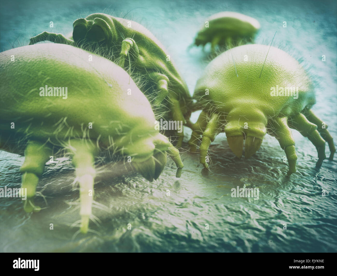 Dust Mite Stock Photo - Download Image Now - Dust Mite, Mite, Bed