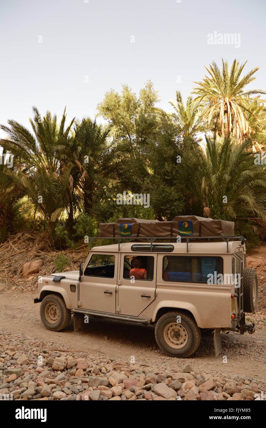 Driving thorough palmerie in Morocco Stock Photo