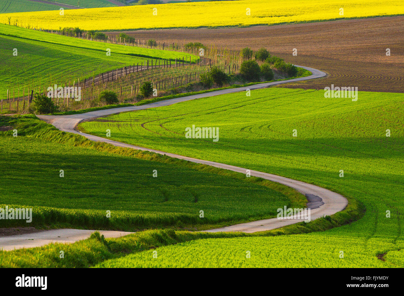 Rural landscape with road Stock Photo - Alamy