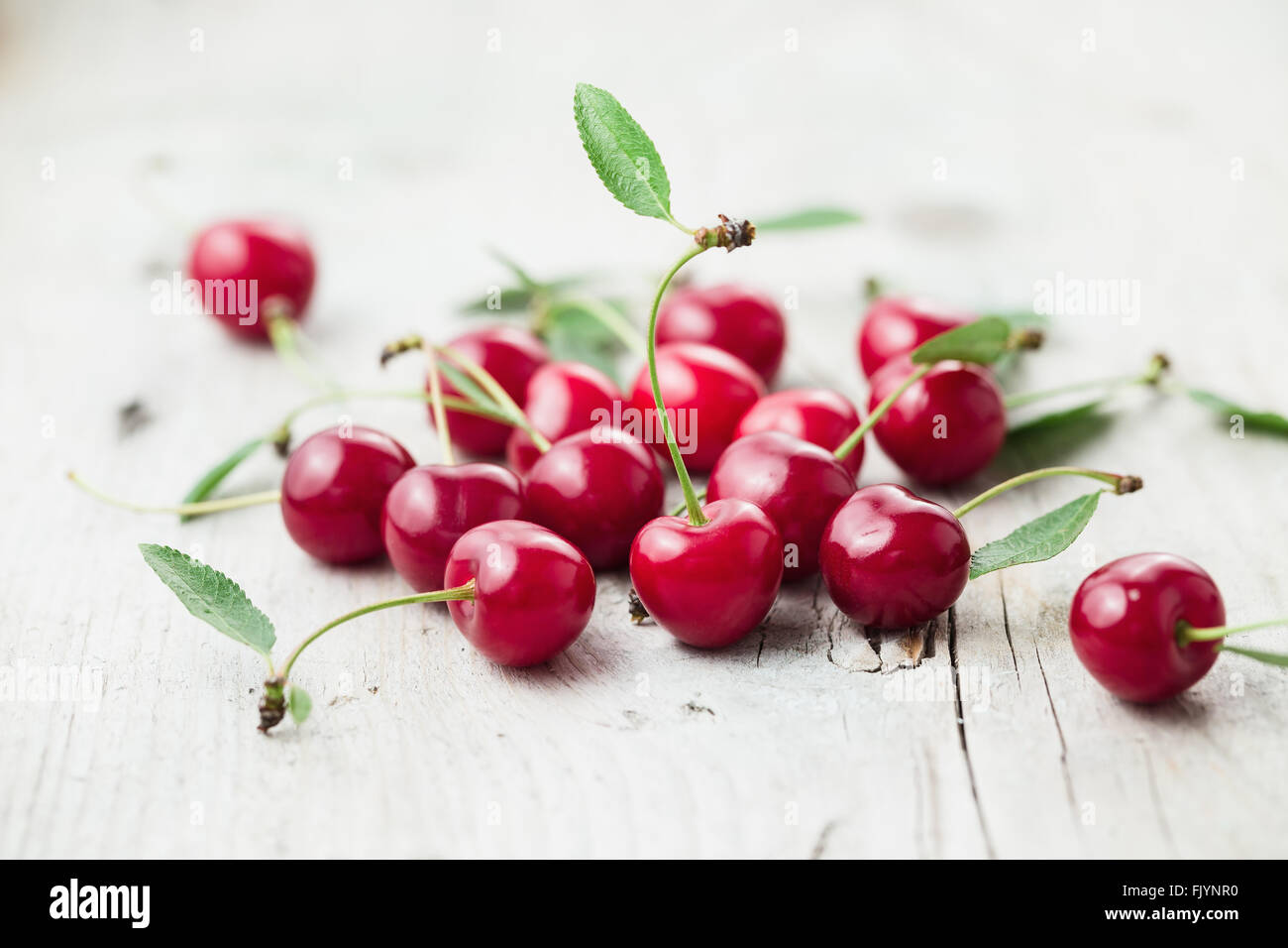 Fresh organic sour cherry, ripe, deep red cherry Stock Photo