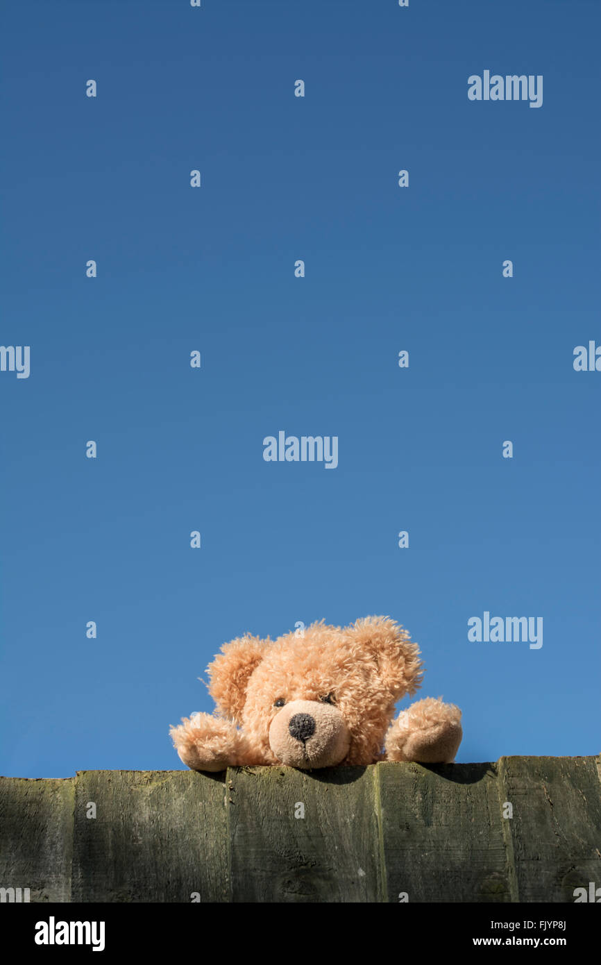 Teddy Bear Peeping Over A Fence Against A Clear Blue Sky Stock Photo
