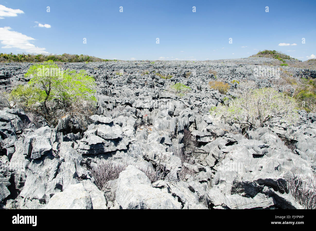 Tsingy de Ankarana National Park, the grey rocks Stone Forest of Madagascar Stock Photo