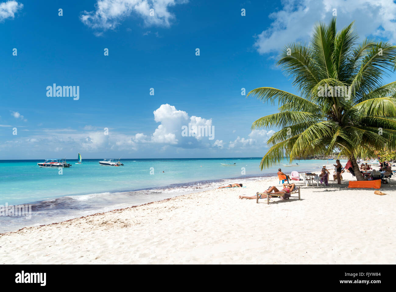 palm fringed  sandy beach of Bayahibe, Dominican Republic, Carribean, America, Stock Photo