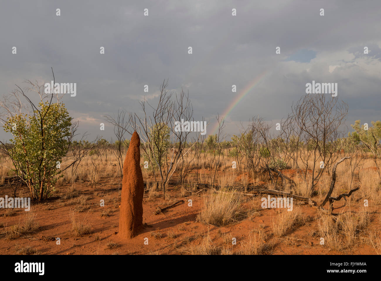Rainbow amidst dark clouds in outback savannah or grasslands with termite mound in the foreground. Stock Photo