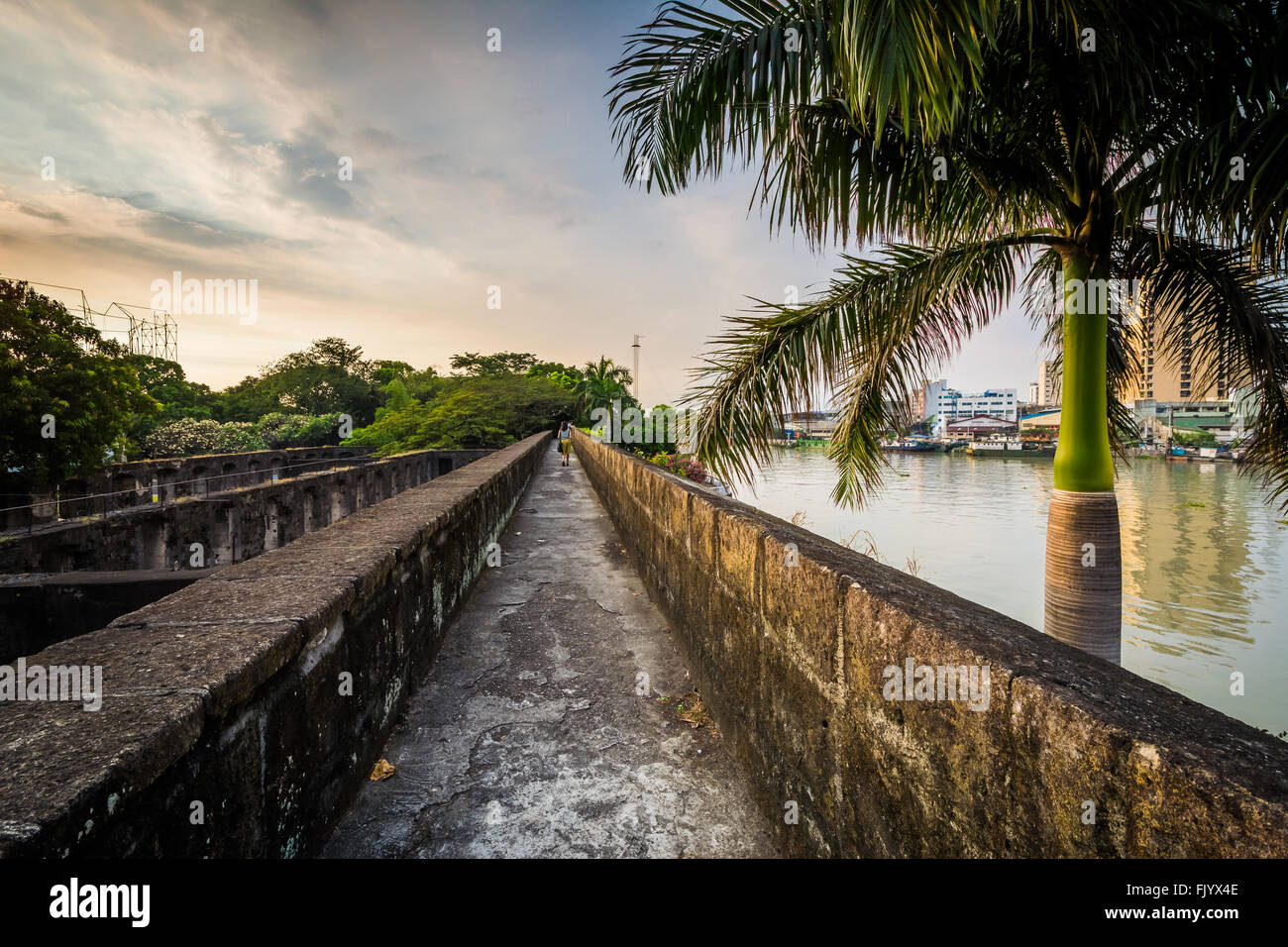 Palm tree and walls along the Pasig River, at Fort Santiago, Intramuros, Manila, The Philippines. Stock Photo