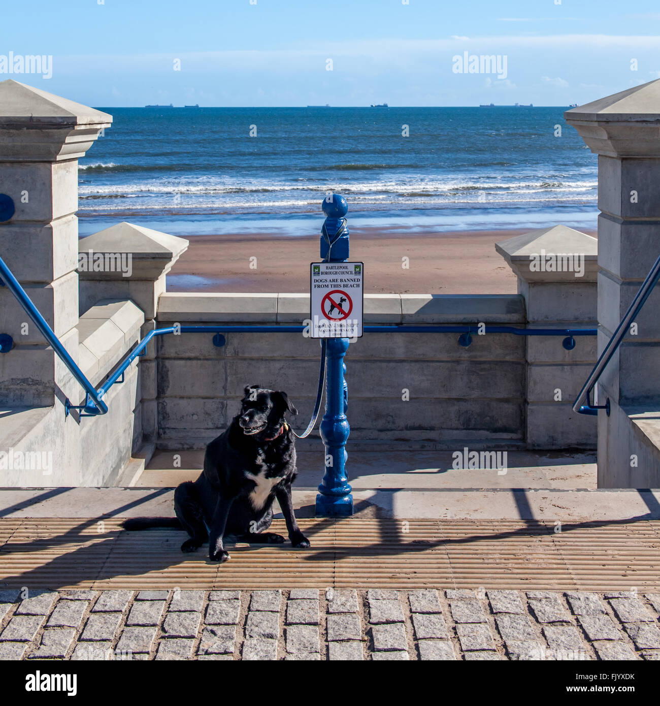 Beach Dog Restrictions on Seaton Carew, Teesside, England Stock Photo Alamy
