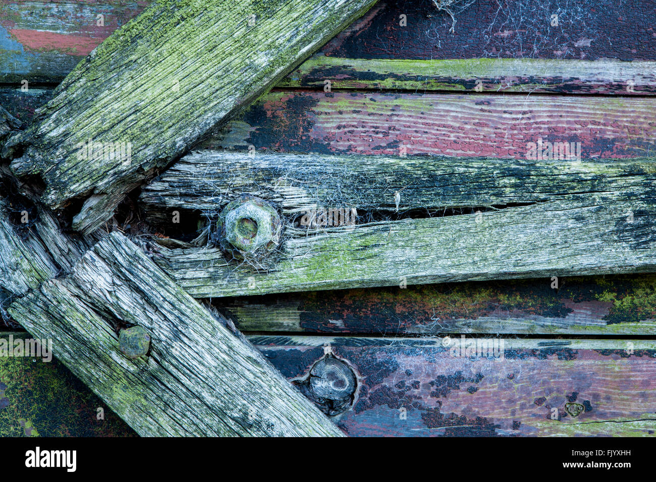 Rotting Wood, North Yorkshire, England Stock Photo