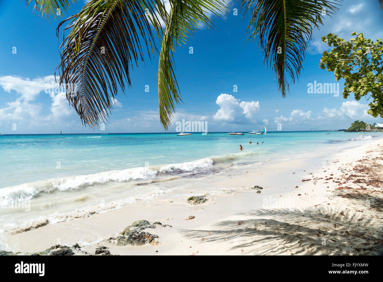 sandy beach of Bayahibe, Dominican Republic, Carribean, America, Stock Photo