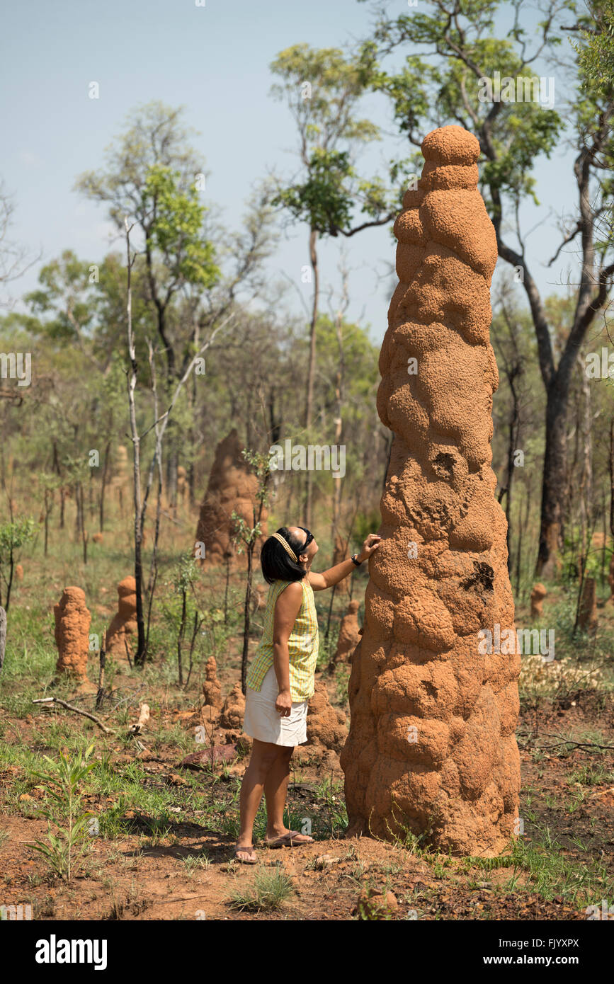 Very tall termite mound with tourist standing beside it to scale. Stock Photo