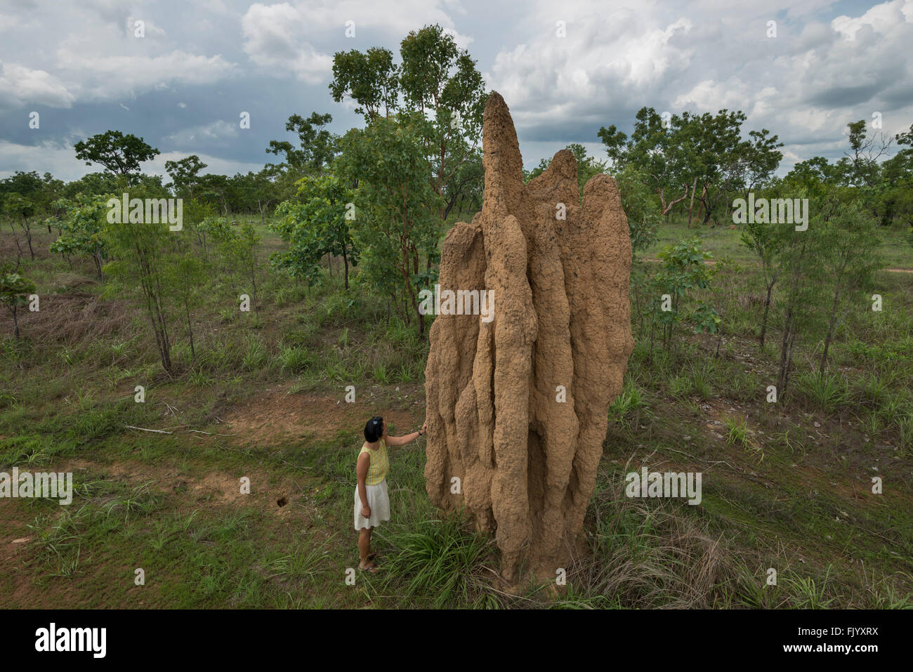 Very tall termite mound with tourist standing beside it to scale. Stock Photo