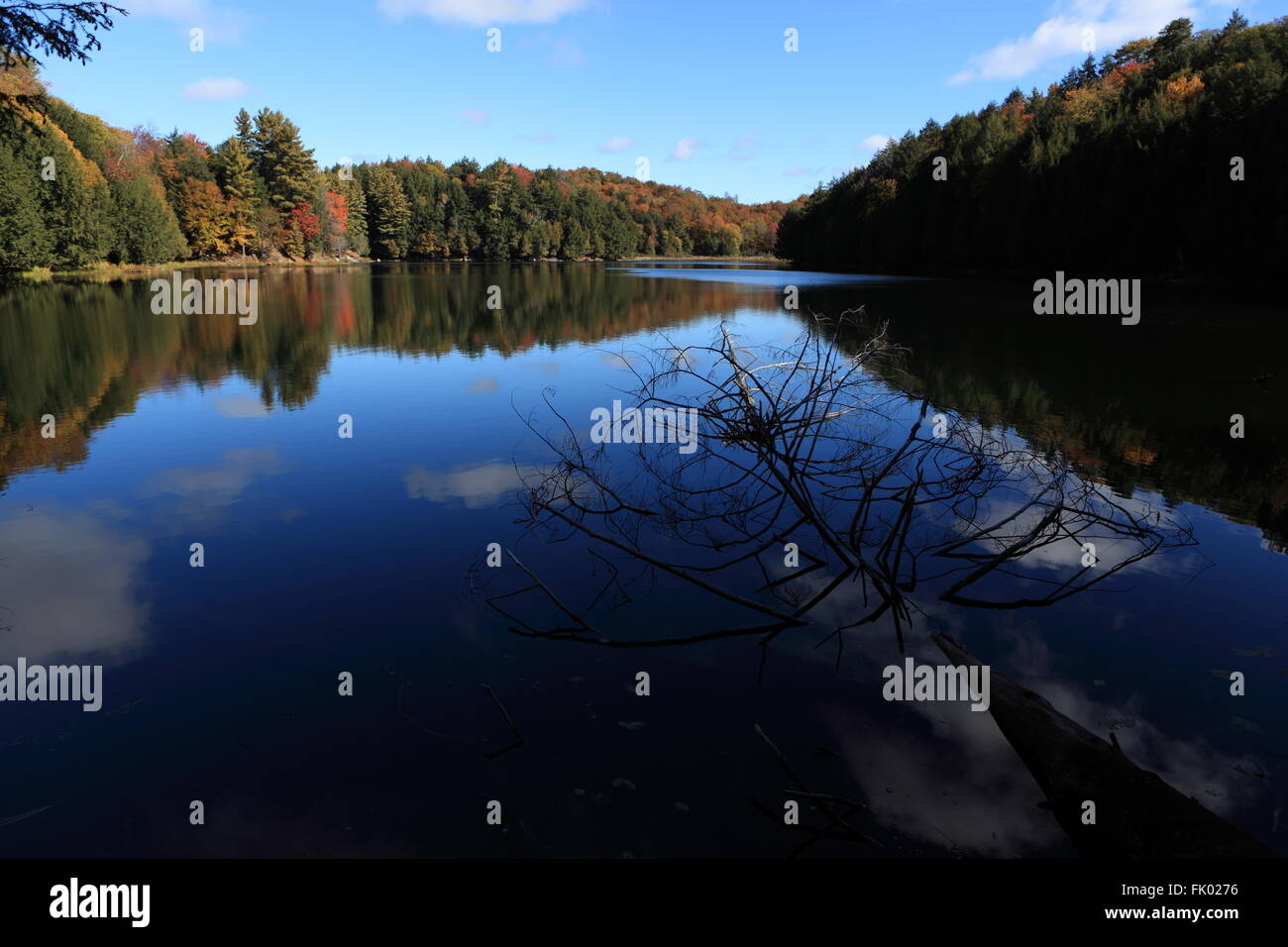 Fall colours at Mitch Lake in Gatineau Park, Quebec, October 10, 2015 Stock Photo
