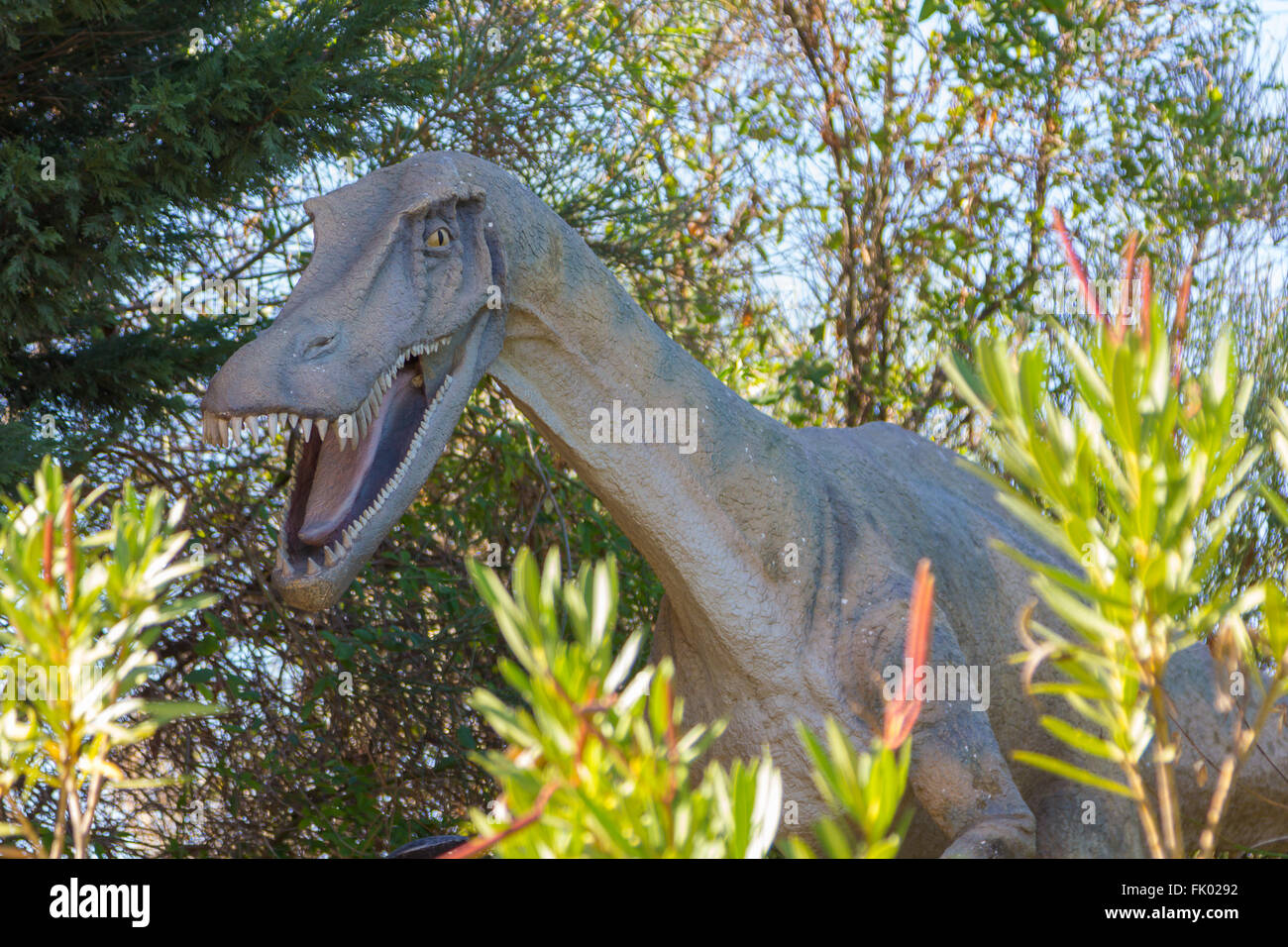 Velociraptor dinosaur carnivore fast Stock Photo