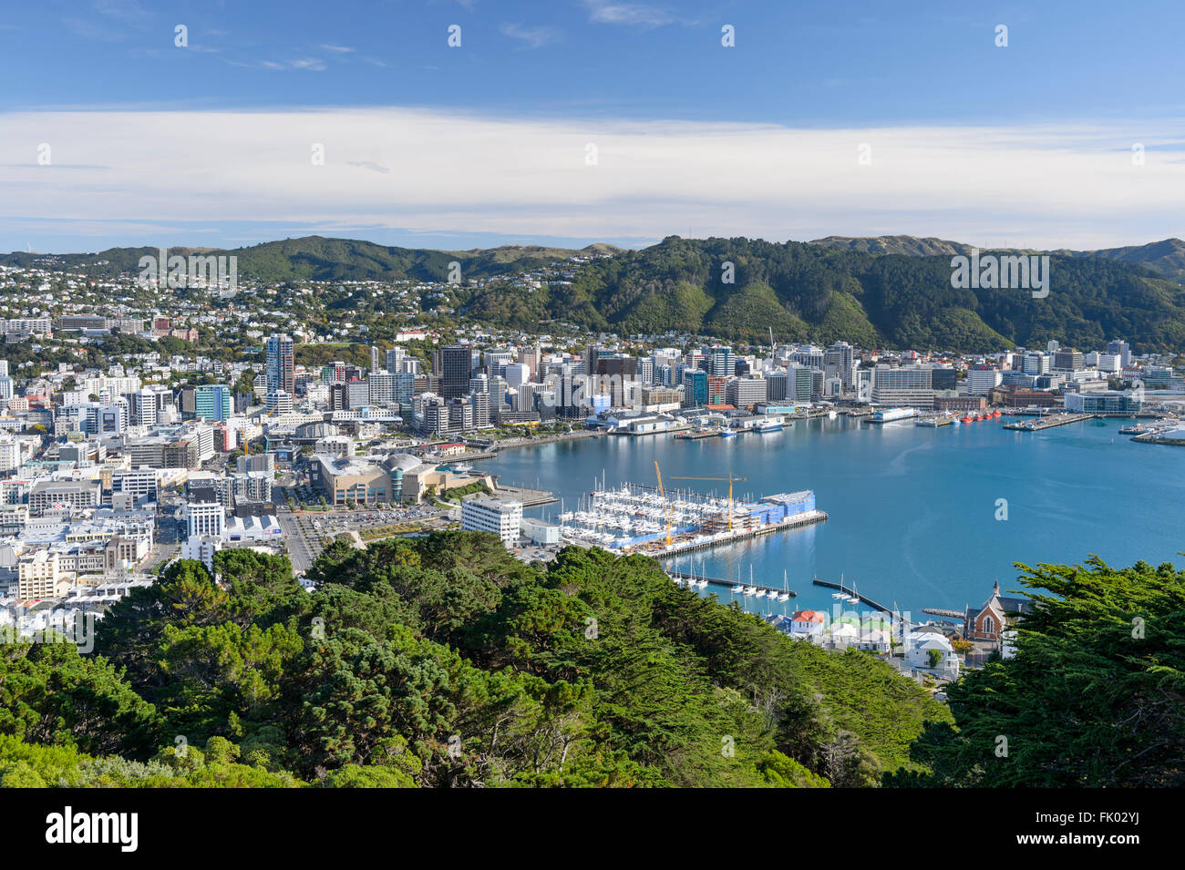 Cityscape, view from Mt Victoria to the City Center and Wellington Harbour, North Island, New Zealand Stock Photo