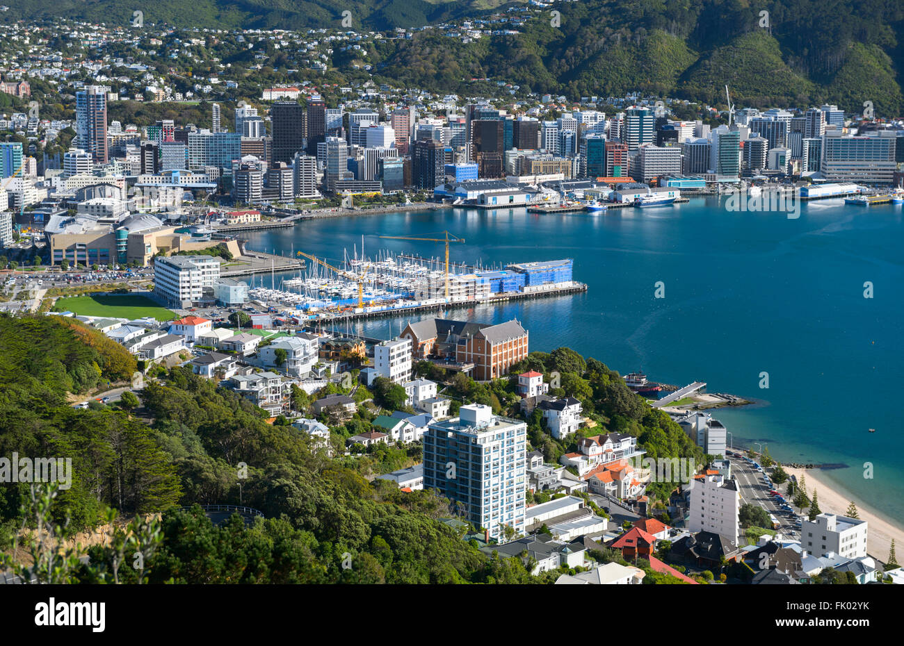 Cityscape, view from Mt Victoria to the skyscrapers in the city center and the Wellington Harbour, North Island, New Zealand Stock Photo