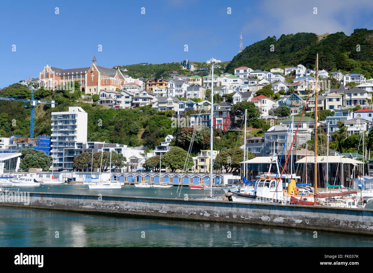 Sailboats in Wellington harbour, Oriental Bay residential district behind, North Island, New Zealand Stock Photo